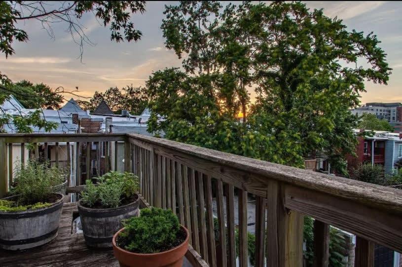 Historic Capital Hill And Carriage House Apartment *